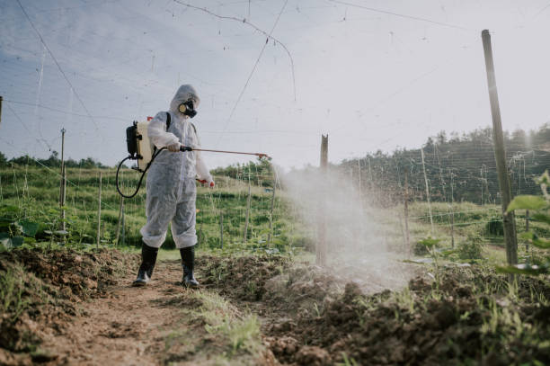 Best Best Pest Control Companies  in Johnsonville, SC