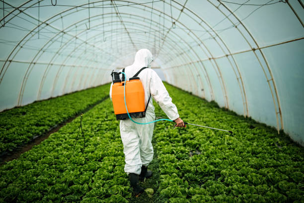 Pest Control for Restaurants in Johnsonville, SC
