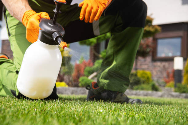 Best Mosquito Control Services  in Johnsonville, SC