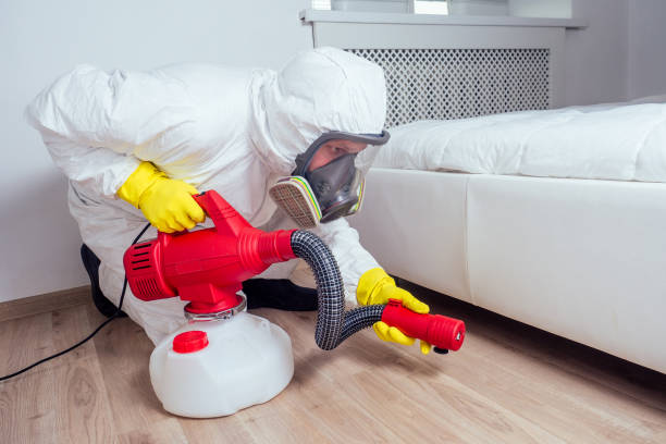 Best Rat Extermination Near Me  in Johnsonville, SC
