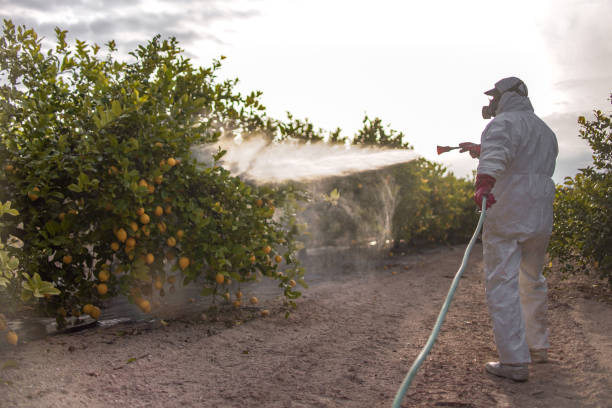 Best Residential Pest Control  in Johnsonville, SC