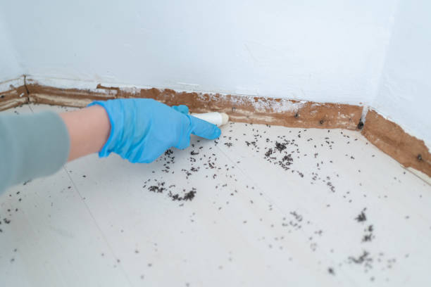 Best Affordable Pest Control Services  in Johnsonville, SC