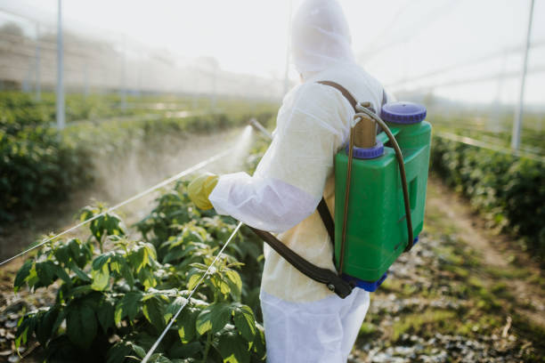 Best Ant Control Services  in Johnsonville, SC